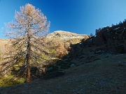 MONTI ARETE (2227 m.) e VALEGINO (2415 m.)… con giro ad anello da Cambrembo di Valleve il 21 novembre 2012  - FOTOGALLERY